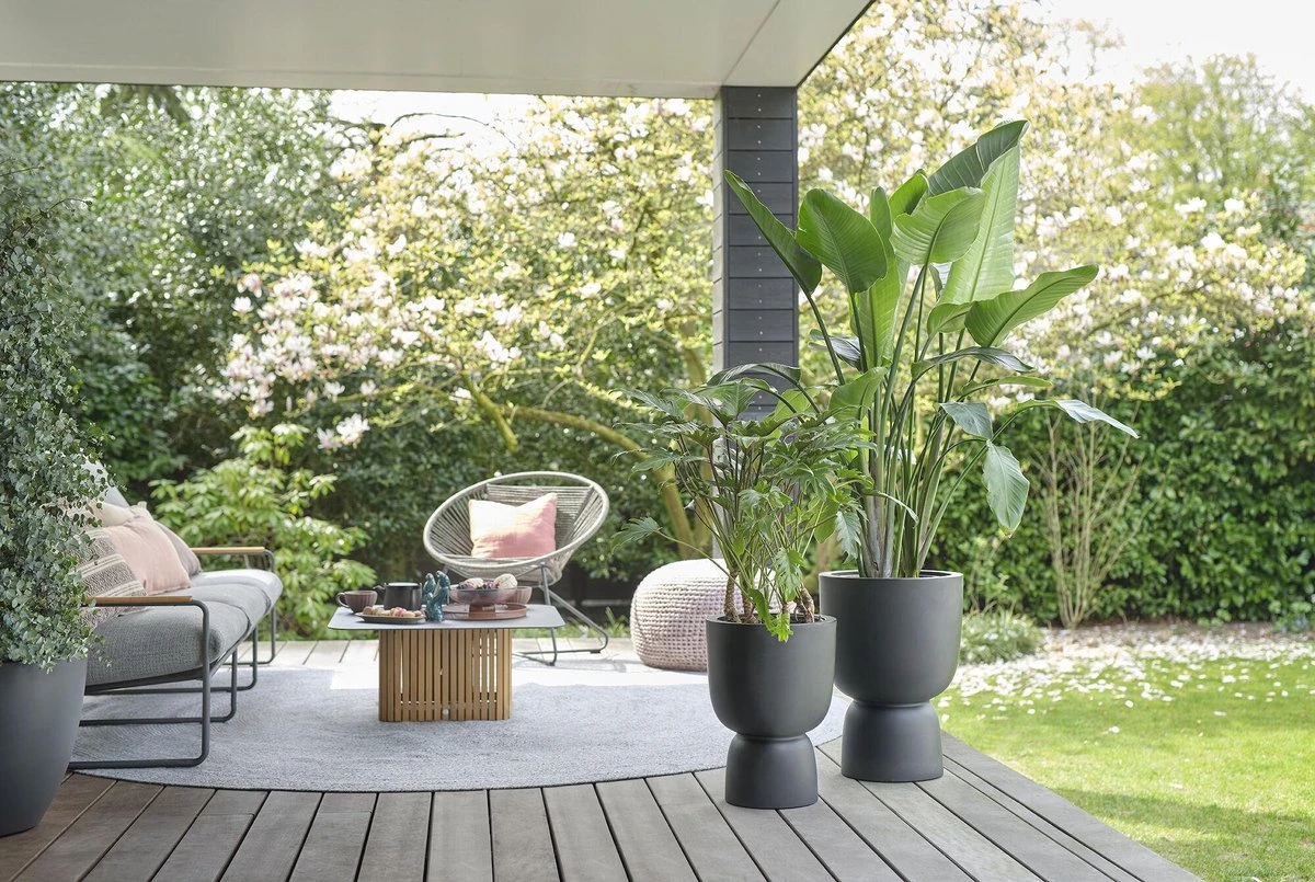 Elho Pure Coupe 41 - Bloempot Voor Binnen & Buiten - Ø 41.3 X H 57.9 Cm - Zwart/Zwart 4 Elho Pure Coupe 41 - Bloempot Voor Binnen & Buiten - Ø 41.3 X H 57.9 Cm - Zwart/Zwart - Afbeelding 4