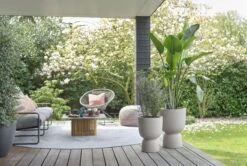 Elho Pure Coupe 35 - Bloempot Voor Binnen & Buiten - Ø 34.9 X H 49.0 Cm - Beige/Balanced Beige -Beroemde Tuinonderhouds Winkel 1200x808 3