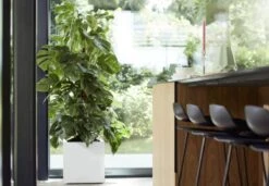 Elho Vivo Matt Finish Vierkant Wielen 40 - Grote Plantenbak Voor Binnen & Buiten - Gemaakt Van Gereycled Plastic - L 39 X W 39 X H 41 Cm - Wit -Beroemde Tuinonderhouds Winkel 1200x832 1