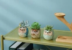 Luxe Bamboe Houten Boom Met 3 Keramiek Uil Bloempotten/Plantenpotten Op Standaard/Voet Voor Binnen En Buiten - Modern Design Bloempot/Plantenpot Op Poten/Pootjes-Plantenbak Mini Cactus Nep Plant Pot Houder - Kleine Bloembakken Plantenrek/Plantenkurk -Beroemde Tuinonderhouds Winkel 1200x840