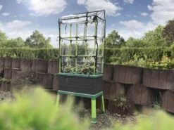 Bio Green Dekking Voor CityJungle -Beroemde Tuinonderhouds Winkel 1200x900 17