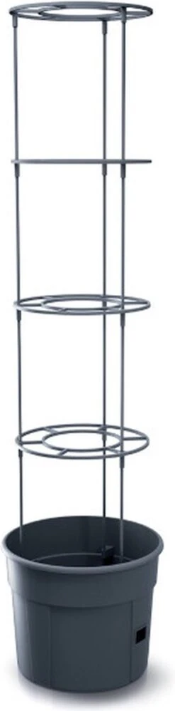 TOMATENPOT VOOR HET KWEKEN VAN TOMATEN PROSPERPLAST 28L 13 TOMATENPOT VOOR HET KWEKEN VAN TOMATEN PROSPERPLAST 28L -Beroemde Tuinonderhouds Winkel 297x1200