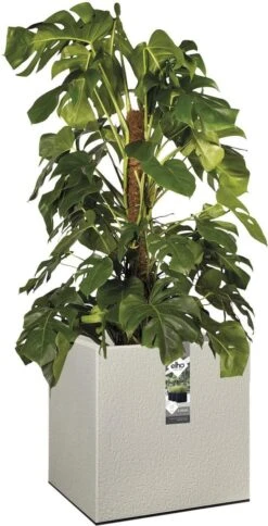 Elho Vivo Structure Finish Vierkant 40 - Plantenbak Voor Binnen & Buiten - Ø 39 X H 41 - Grijs/Warm Grijs -Beroemde Tuinonderhouds Winkel 613x1200