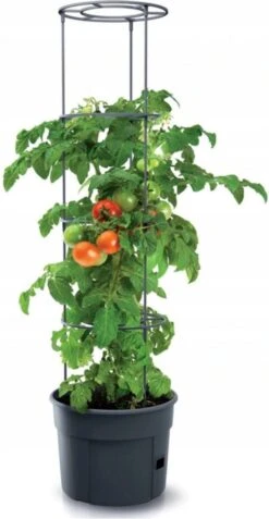 TOMATENPOT VOOR HET KWEKEN VAN TOMATEN PROSPERPLAST 28L 9 TOMATENPOT VOOR HET KWEKEN VAN TOMATEN PROSPERPLAST 28L -Beroemde Tuinonderhouds Winkel 621x1200 3