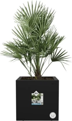 Elho Vivo Next Vierkant 40 - Plantenbak Voor Binnen & Buiten - Ø 39.0 X H 37.9 Cm - Zwart/Living Black -Beroemde Tuinonderhouds Winkel 720x1200 1