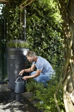 Elho Green Basics Regenton - Regenton - Living Black - Buiten - 200 Liter -Beroemde Tuinonderhouds Winkel 790x1200