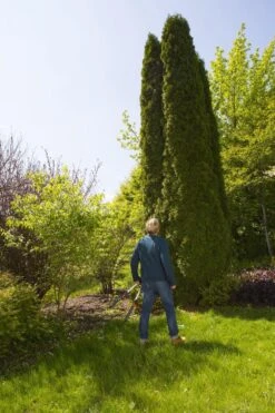 GARDENA TeleCut Heggenschaar - Telescopische Handgrepen Van 70-90 Cm -Beroemde Tuinonderhouds Winkel 799x1200 2