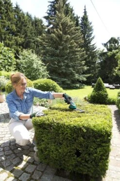 Bosch ISIO Gen III Accu Buxusschaar + Grasschaar 8 Bosch ISIO Gen III Accu Buxusschaar + Grasschaar -Beroemde Tuinonderhouds Winkel 800x1200 10