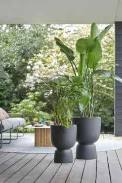 Elho Pure Coupe 41 - Bloempot Voor Binnen & Buiten - Ø 41.3 X H 57.9 Cm - Zwart/Zwart 27 Elho Pure Coupe 41 - Bloempot Voor Binnen & Buiten - Ø 41.3 X H 57.9 Cm - Zwart/Zwart -Beroemde Tuinonderhouds Winkel 800x1200 47