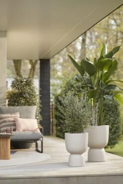 Elho Pure Coupe 35 - Bloempot Voor Binnen & Buiten - Ø 34.9 X H 49.0 Cm - Beige/Balanced Beige -Beroemde Tuinonderhouds Winkel 800x1200 50