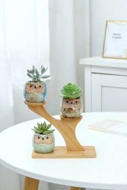 Luxe Bamboe Houten Boom Met 3 Keramiek Uil Bloempotten/Plantenpotten Op Standaard/Voet Voor Binnen En Buiten - Modern Design Bloempot/Plantenpot Op Poten/Pootjes-Plantenbak Mini Cactus Nep Plant Pot Houder - Kleine Bloembakken Plantenrek/Plantenkurk -Beroemde Tuinonderhouds Winkel 800x1200 53