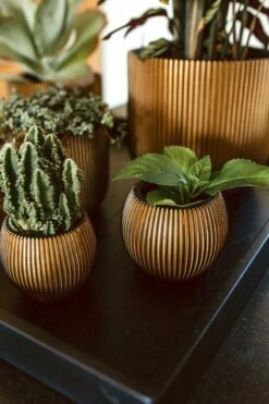 Capi Europe - Vaas Bol Groove XL - 39x33 - Goud - Bloempot Voor Binnen - Opening ⌀24 - GVGB270 -Beroemde Tuinonderhouds Winkel 800x1200 55