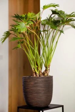 Capi Europe - Bloempot Bol Rib NL - 43x41 - Antraciet - Voor Binnen En Buiten - KOFZ933 -Beroemde Tuinonderhouds Winkel 800x1200 56