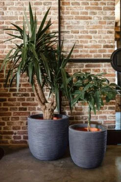 Capi Europe - Bloempot Bol Rib NL - 43x41 - Antraciet - Voor Binnen En Buiten - KOFZ933 -Beroemde Tuinonderhouds Winkel 800x1200 57