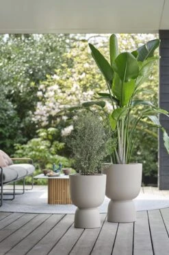 Elho Pure Coupe 41 - Bloempot Voor Binnen & Buiten - Ø 41.3 X H 57.9 Cm - Beige/Balanced Beige 18 Elho Pure Coupe 41 - Bloempot Voor Binnen & Buiten - Ø 41.3 X H 57.9 Cm - Beige/Balanced Beige -Beroemde Tuinonderhouds Winkel 800x1200 59