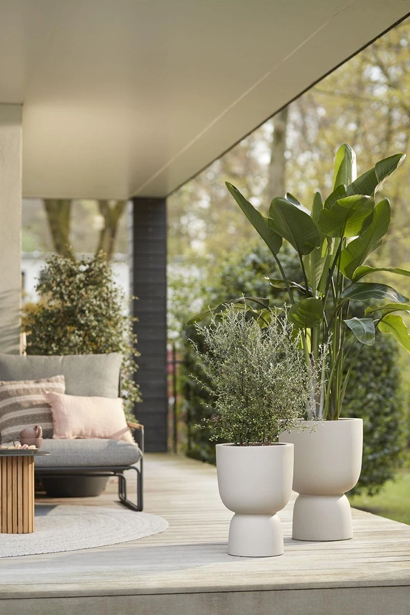 Elho Pure Coupe 41 - Bloempot Voor Binnen & Buiten - Ø 41.3 X H 57.9 Cm - Beige/Balanced Beige 14 Elho Pure Coupe 41 - Bloempot Voor Binnen & Buiten - Ø 41.3 X H 57.9 Cm - Beige/Balanced Beige - Afbeelding 14