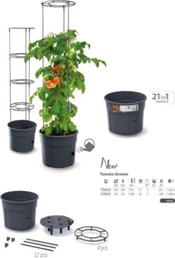 TOMATENPOT VOOR HET KWEKEN VAN TOMATEN PROSPERPLAST 28L 12 TOMATENPOT VOOR HET KWEKEN VAN TOMATEN PROSPERPLAST 28L -Beroemde Tuinonderhouds Winkel 815x1200