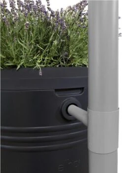 Elho Green Basics Regenton - Regenton - Living Black - Buiten - 200 Liter -Beroemde Tuinonderhouds Winkel 852x1200