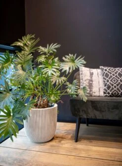 Capi Europe - Vaas Elegant Laag Groove NL - 46x58 - Goud - Voor Binnen En Buiten - KGVGB783 -Beroemde Tuinonderhouds Winkel 883x1200 2