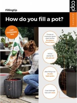 Capi Europe - Bloempot Vierkant Smooth NL - 50x50x50 - Zwart - Voor Binnen En Buiten - KBL904 -Beroemde Tuinonderhouds Winkel 892x1200 1