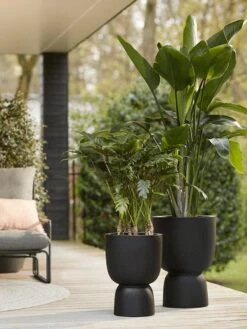 Elho Pure Coupe 41 - Bloempot Voor Binnen & Buiten - Ø 41.3 X H 57.9 Cm - Zwart/Zwart 24 Elho Pure Coupe 41 - Bloempot Voor Binnen & Buiten - Ø 41.3 X H 57.9 Cm - Zwart/Zwart -Beroemde Tuinonderhouds Winkel 900x1200 2