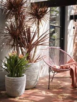 Capi Europe - Bloempot Bol Rib NL - 43x41 - Antraciet - Voor Binnen En Buiten - KOFZ933 -Beroemde Tuinonderhouds Winkel 900x1200 5