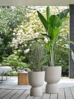 Elho Pure Coupe 41 - Bloempot Voor Binnen & Buiten - Ø 41.3 X H 57.9 Cm - Beige/Balanced Beige 26 Elho Pure Coupe 41 - Bloempot Voor Binnen & Buiten - Ø 41.3 X H 57.9 Cm - Beige/Balanced Beige -Beroemde Tuinonderhouds Winkel 900x1200 6