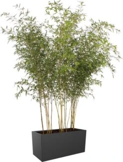 Elho Vivo Matt Finish Lang Wielen 90 - Grote Staande Plantenbak Voor Binnen & Buiten - Gemaakt Van Gereycled Plastic - L 39 X W 88 X H 41 Cm - Zwart -Beroemde Tuinonderhouds Winkel 911x1200 1