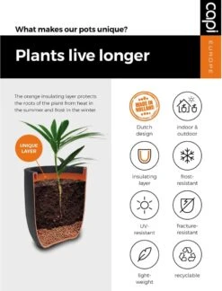 Capi Europe - Bloempot Vierkant Smooth NL - 50x50x50 - Zwart - Voor Binnen En Buiten - KBL904 -Beroemde Tuinonderhouds Winkel 916x1200 1