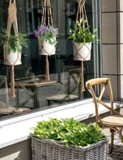 4 Stuks Luxe Jute Plantenhangers - Boho Handgeweven Katoen Hangpot Voor Binnen/Buiten - Hangende Bloempot Met Kralen - Macramé Touw/Koord Hangplant Houder - Bohemian Wandhanger Decoratie - Plant Hanger - Verticale Tuin Bloempothouder Planthanger 10 4 Stuks Luxe Jute Plantenhangers - Boho Handgeweven Katoen Hangpot Voor Binnen/Buiten - Hangende Bloempot Met Kralen - Macramé Touw/Koord Hangplant Houder - Bohemian Wandhanger Decoratie - Plant Hanger - Verticale Tuin Bloempothouder Planthanger -Beroemde Tuinonderhouds Winkel 923x1200 2