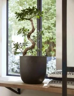 Capi Europe - Bloempot Bol Smooth NL - 35x34 - Zwart - Voor Binnen En Buiten - KBL932 -Beroemde Tuinonderhouds Winkel 923x1200