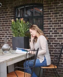 Capi Europe - Bloempot Vierkant Smooth NL - 50x50x50 - Zwart - Voor Binnen En Buiten - KBL904 -Beroemde Tuinonderhouds Winkel 983x1200